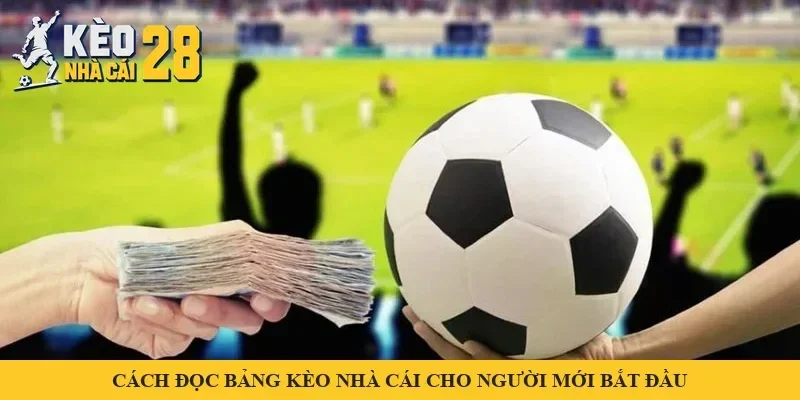 Cách Đọc Bảng Kèo Nhà Cái Cho Người Mới Bắt Đầu