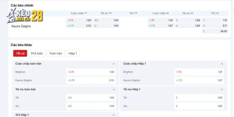 Nhận định các loại kèo cho trận Brighton vs Kauno Zalgiris