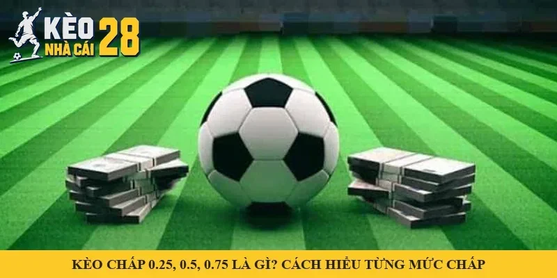 Kèo Chấp 0.25, 0.5, 0.75 Là Gì? Cách Hiểu Từng Mức Chấp