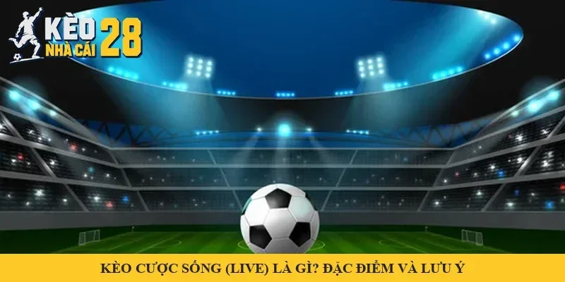 Sân vận động sáng đèn và quả bóng trên cỏ – minh hoạ kèo cược sống (live)